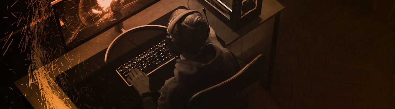 Person playing games at a PC